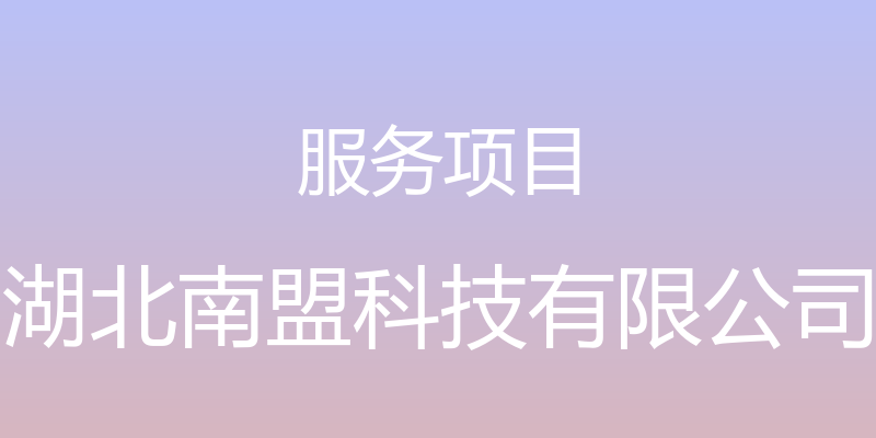 服务项目 - 湖北南盟科技有限公司