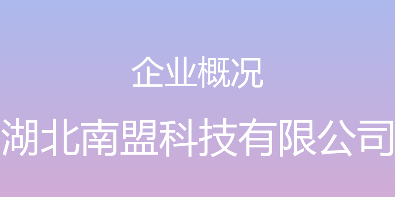 企业概况 - 湖北南盟科技有限公司